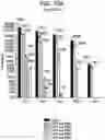 Fig. 12 - DRY POWDER FORMULATIONS CONTAINING LEUCINE AND TRILEUCINE