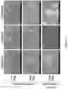 Fig. 14 - REHYDRATABLE, MORPHOLOGICALLY DIVERSE NANOCARRIER POWDERS