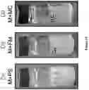 Fig. 15 - REHYDRATABLE, MORPHOLOGICALLY DIVERSE NANOCARRIER POWDERS
