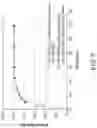 Fig. 06 - SOLID DISPERSION OF PAN-RAF KINASE INHIBITOR