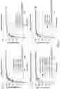 Fig. 08 - SOLID DISPERSION OF PAN-RAF KINASE INHIBITOR