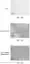 Fig. 19 - CONTROLLED RELEASE SOLID DOSE FORMS