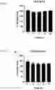 Fig. 03 - COMPOSITIONS AND METHODS FOR CANCER TREATMENT BY ENHANCING ANTITUMOR IMMUNITY USING TANNIC ACID-BASED NANOCAPSULES