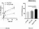 Fig. 04 - COMPOSITIONS AND METHODS FOR CANCER TREATMENT BY ENHANCING ANTITUMOR IMMUNITY USING TANNIC ACID-BASED NANOCAPSULES