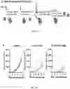 Fig. 10 - COMPOSITIONS AND METHODS FOR CANCER TREATMENT BY ENHANCING ANTITUMOR IMMUNITY USING TANNIC ACID-BASED NANOCAPSULES