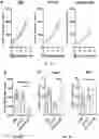 Fig. 13 - COMPOSITIONS AND METHODS FOR CANCER TREATMENT BY ENHANCING ANTITUMOR IMMUNITY USING TANNIC ACID-BASED NANOCAPSULES
