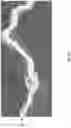Fig. 10 - DELIVERY SYSTEMS FOR RELEASE OF ACTIVE COMPOUNDS