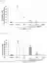 Fig. 03 - COMPOSITION FOR PREVENTING AND/OR TREATING   NEURODEGENERATIVE DISORDERS