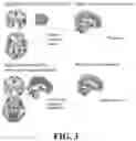 Fig. 04 - COMPOSITIONS COMPRISING FUNCTIONAL FRAGRANCES AND CANNABIS-DERIVED COMPOUNDS