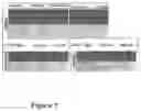 Fig. 04 - Bakuchiol compositions for treatment of post inflammatory hyperpigmentation