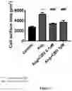 Fig. 03 - CANNABIDIOL COMPOSITIONS FOR USE IN TREATING HEART CONDITIONS