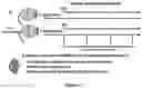 Fig. 07 - CANNABIDIOL COMPOSITIONS FOR USE IN TREATING HEART CONDITIONS