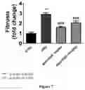 Fig. 12 - CANNABIDIOL COMPOSITIONS FOR USE IN TREATING HEART CONDITIONS