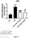 Fig. 14 - CANNABIDIOL COMPOSITIONS FOR USE IN TREATING HEART CONDITIONS