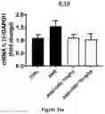 Fig. 15 - CANNABIDIOL COMPOSITIONS FOR USE IN TREATING HEART CONDITIONS