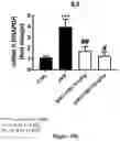 Fig. 16 - CANNABIDIOL COMPOSITIONS FOR USE IN TREATING HEART CONDITIONS