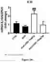 Fig. 17 - CANNABIDIOL COMPOSITIONS FOR USE IN TREATING HEART CONDITIONS