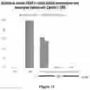 Fig. 18 - CANNABIDIOL COMPOSITIONS FOR USE IN TREATING HEART CONDITIONS