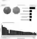 Fig. 06 - Combination Therapy Based on PD-1 Signaling Inhibitors
