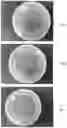 Fig. 03 - Compositions for removing necrotic or infected tissues from body surface lesions and from oral cavity