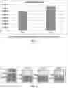 Fig. 05 - MUCOADHESIVE COMPOSITIONS AND METHOD OF USE THEREOF