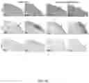 Fig. 23 - CONTROLLED NUTRIENT DELIVERY TO PANCREATIC ISLETS USING A NOVEL MESOPOROUS SILICA-BASED NANOPARTICLE PLATFORM