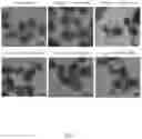 Fig. 30 - CONTROLLED NUTRIENT DELIVERY TO PANCREATIC ISLETS USING A NOVEL MESOPOROUS SILICA-BASED NANOPARTICLE PLATFORM