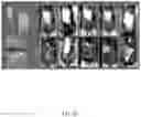 Fig. 44 - CONTROLLED NUTRIENT DELIVERY TO PANCREATIC ISLETS USING A NOVEL MESOPOROUS SILICA-BASED NANOPARTICLE PLATFORM