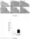 Fig. 45 - CONTROLLED NUTRIENT DELIVERY TO PANCREATIC ISLETS USING A NOVEL MESOPOROUS SILICA-BASED NANOPARTICLE PLATFORM