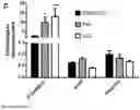 Fig. 06 - COMPOUNDS FOR PREVENTING MIGRATION OF CANCER CELLS