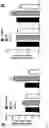 Fig. 07 - COMPOUNDS FOR PREVENTING MIGRATION OF CANCER CELLS