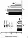 Fig. 12 - COMPOUNDS FOR PREVENTING MIGRATION OF CANCER CELLS