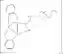 Fig. 24 - COMPOUNDS FOR PREVENTING MIGRATION OF CANCER CELLS