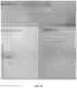 Fig. 11 - METHOD AND COMPOSITION FOR PREVENTING AND TREATING VIRAL INFECTIONS