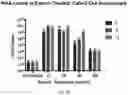 Fig. 22 - METHOD AND COMPOSITION FOR PREVENTING AND TREATING VIRAL INFECTIONS