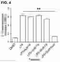 Fig. 05 - Co-Administration Therapy to Prevent Neurodegeneration and Enhance Neuroprotection