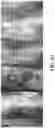 Fig. 13 - TOPICAL FORMULATIONS AND INSTILLATES, KITS, AND METHODS FOR TREATING INTEGUMENTARY WOUNDS, AND USES THEREOF