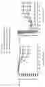 Fig. 03 - COMPOSITIONS AND METHODS FOR RESCUING RETINAL AND CHOROIDAL STRUCTURE AND FUNCTION