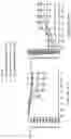 Fig. 04 - COMPOSITIONS AND METHODS FOR RESCUING RETINAL AND CHOROIDAL STRUCTURE AND FUNCTION