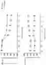 Fig. 21 - COMPOSITIONS AND METHODS FOR RESCUING RETINAL AND CHOROIDAL STRUCTURE AND FUNCTION