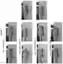 Fig. 03 - COMPOUNDS AND COMPOSITIONS FOR THE TREATMENT OF MUSCULAR DISORDERS AND BONE DISORDERS