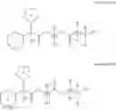 Fig. 09 - METHODS FOR PALMAR OR PLANTAR ADMINISTRATION OF PHARMACEUTICAL COMPOSITIONS