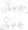 Fig. 21 - METHODS FOR PALMAR OR PLANTAR ADMINISTRATION OF PHARMACEUTICAL COMPOSITIONS