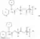 Fig. 22 - METHODS FOR PALMAR OR PLANTAR ADMINISTRATION OF PHARMACEUTICAL COMPOSITIONS