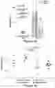Fig. 06 - Tinostamustine for use in the treatment of T-cell prolymphocytic leukaemia