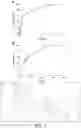 Fig. 02 - HYDROGEN PEROXIDE-RESPONSIVE KEAP1-NRF2 PPI INHIBITOR PRODRUG, AND PREPARATION METHOD THEREFOR