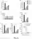 Fig. 06 - HYDROGEN PEROXIDE-RESPONSIVE KEAP1-NRF2 PPI INHIBITOR PRODRUG, AND PREPARATION METHOD THEREFOR
