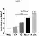 Fig. 04 - COMBINATION THERAPY HAVING ANTIOXYDANT PROPERTIES