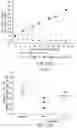Fig. 12 - Compounds and compositions for inhibiting the activity of HIF2-alpha and their methods of use