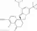 Fig. 206 - Compounds and compositions for inhibiting the activity of HIF2-alpha and their methods of use